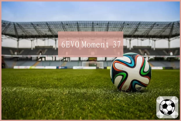 6EVO Moment 37