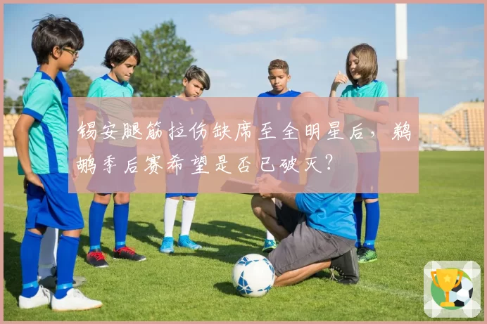 锡安腿筋拉伤缺席至全明星后,鹈鹕季后赛希望是否已破灭?