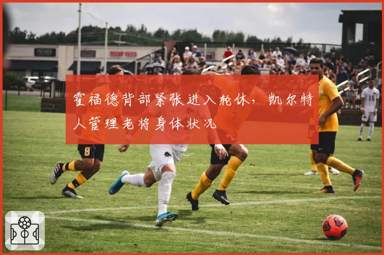 霍福德背部紧张进入轮休,凯尔特人管理老将身体状况