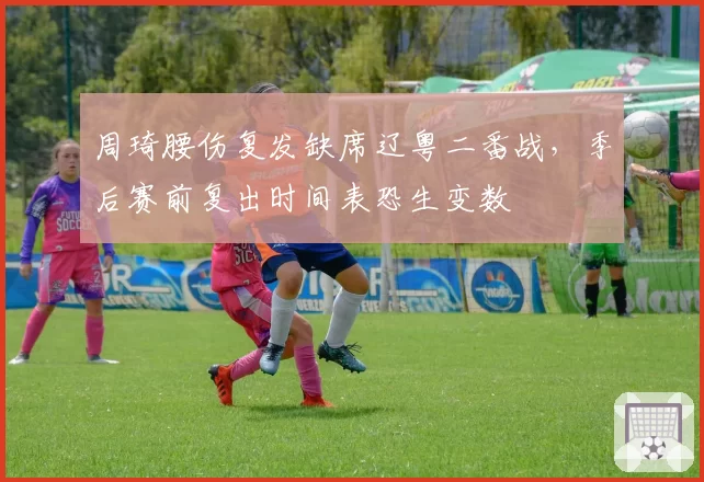 周琦腰伤复发缺席辽粤二番战,季后赛前复出时间表恐生变数